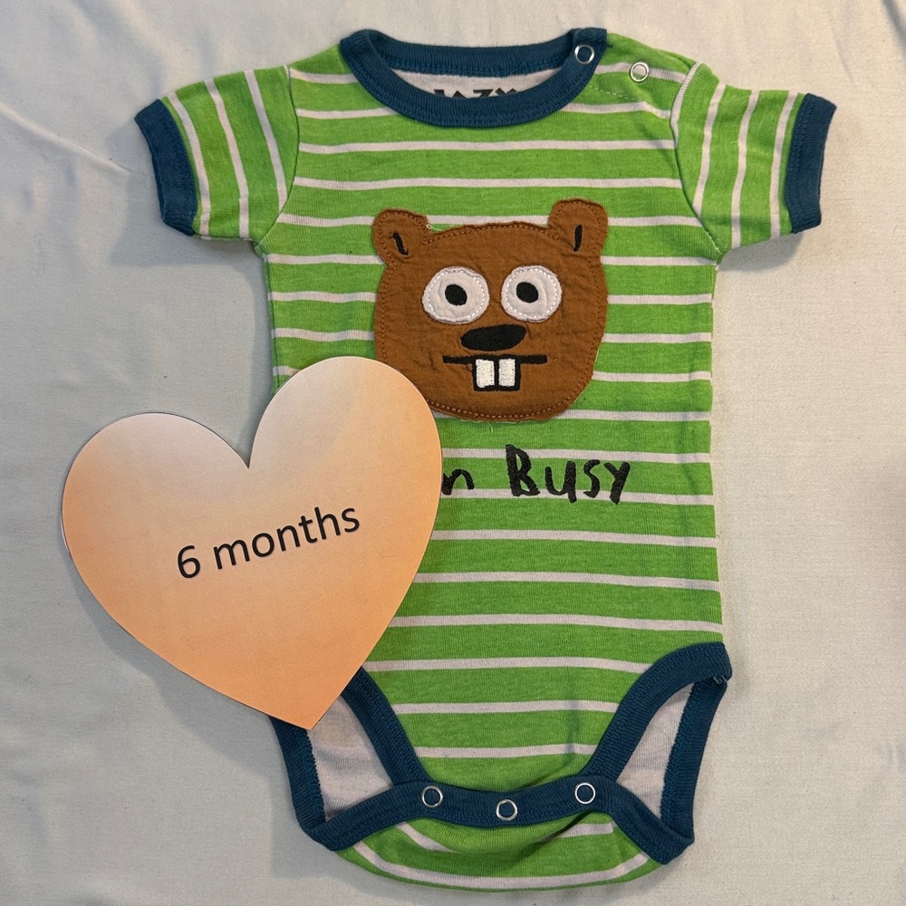 Lazy One - short sleeve onesie. Size 6 months